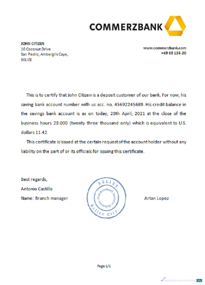 Download Belize Commerzbank reference Photoshop template